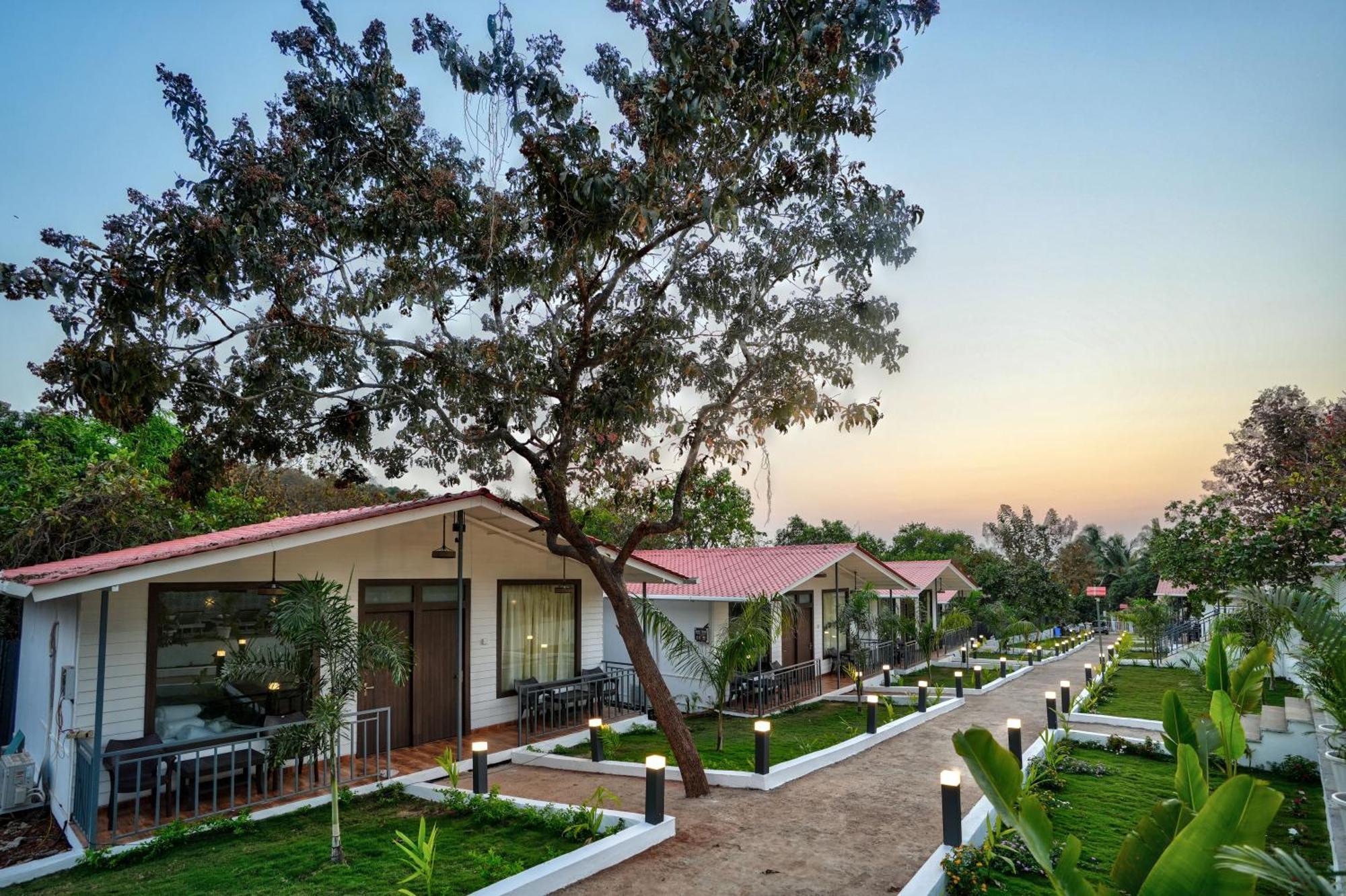 Serenity 4* Arambol